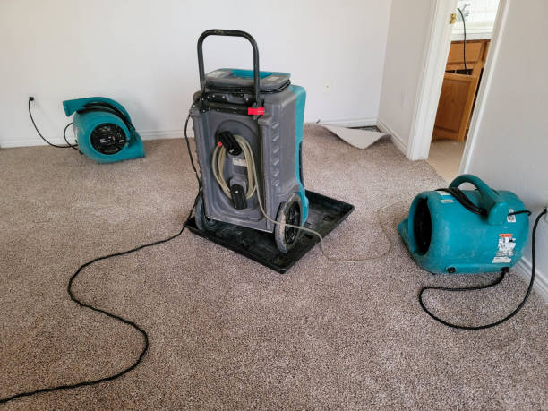 Best Water damage restoration near me  in Fall City, WA