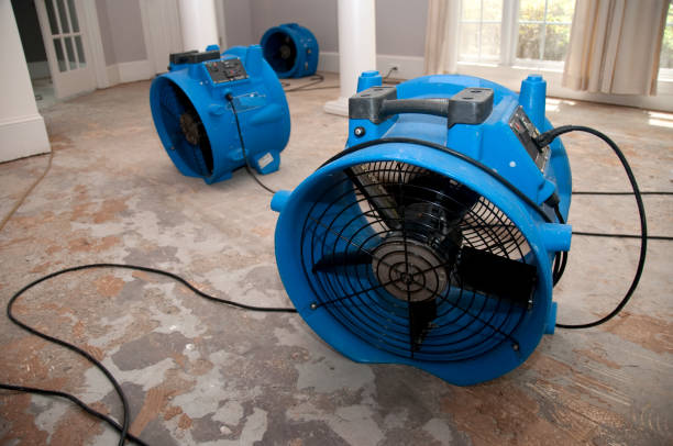 Best Water damage cleanup near me  in Fall City, WA