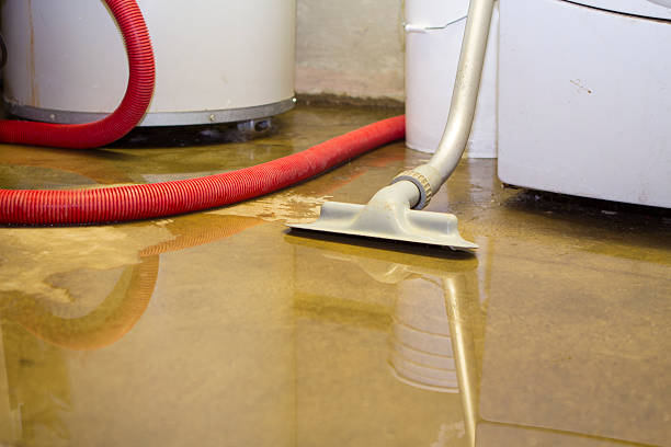 Best Flood restoration services  in Fall City, WA