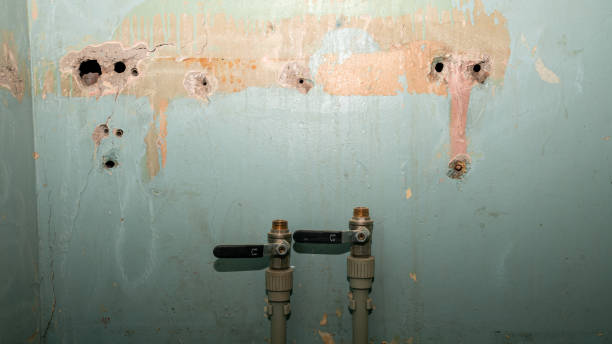 Best Residential water damage restoration  in Fall City, WA