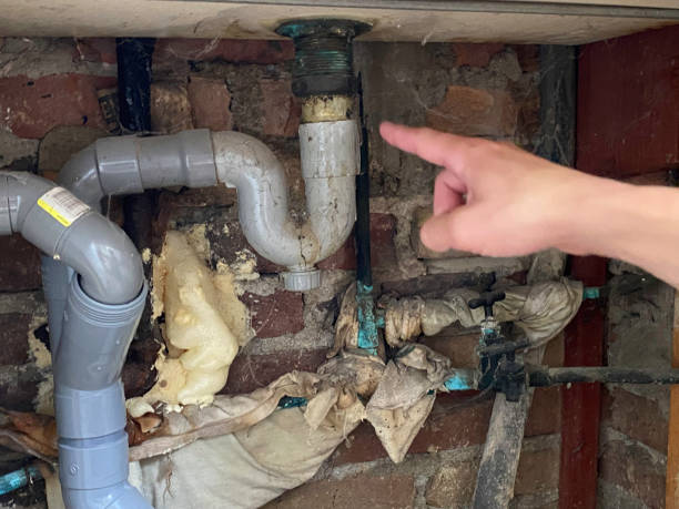 Best Professional water damage repair  in Fall City, WA
