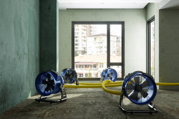 Best Local water damage restoration  in Fall City, WA